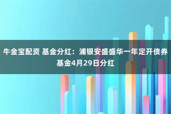牛金宝配资 基金分红：浦银安盛盛华一年定开债券基金4月29日分红
