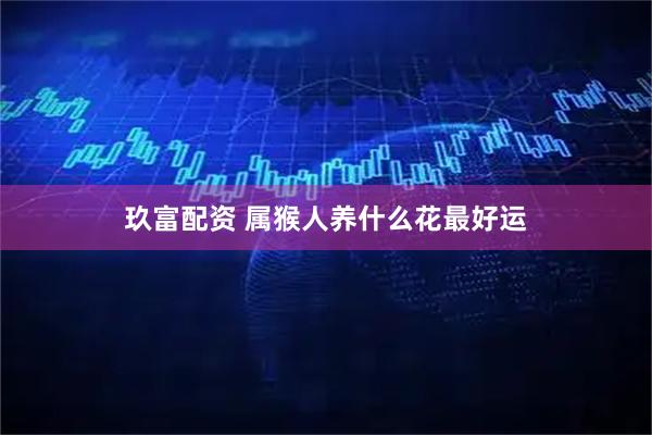 玖富配资 属猴人养什么花最好运