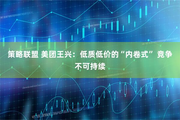 策略联盟 美团王兴：低质低价的“内卷式” 竞争不可持续