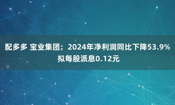 配多多 宝业集团：2024年净利润同比下降53.9% 拟每股派息0.12元