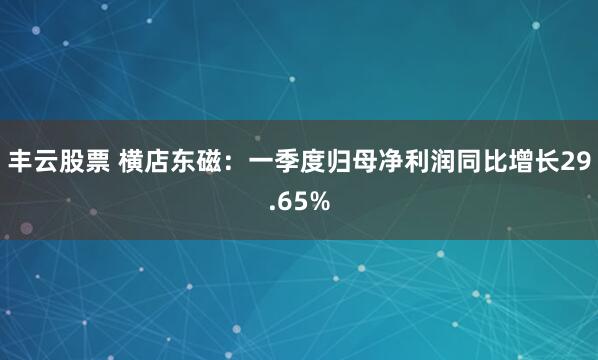 丰云股票 横店东磁：一季度归母净利润同比增长29.65%